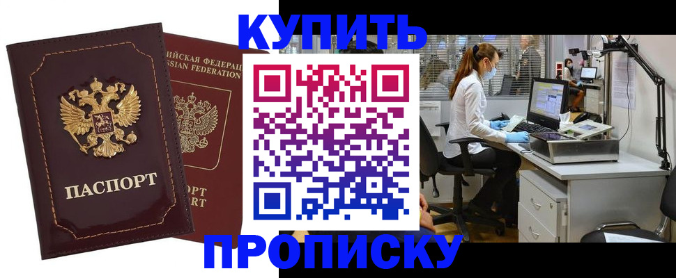прописка гарантия в Заинске